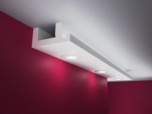 Подвесные потолки, LH1B 8x15x200cm цена и информация | Элементы декора для стен, потолка | pigu.lt