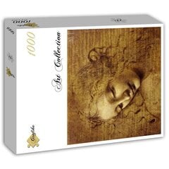 Dėlionė Leonardo da Vinci: The Face of Giovane Fanciulla 1000 d. kaina ir informacija | Dėlionės (puzzle) | pigu.lt