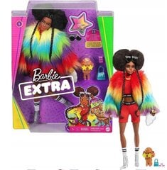 Кукла Барби Extra Rainbow Coat, с аксессуарами цена и информация | Игрушки для девочек | pigu.lt
