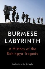 Burmese Labyrinth kaina ir informacija | Istorinės knygos | pigu.lt