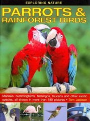 Exploring Nature: Parrots & Rainforest Birds цена и информация | Книги для подростков  | pigu.lt