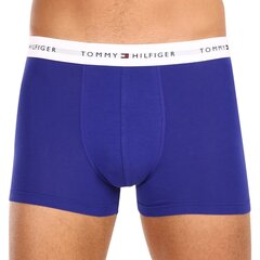 Боксеры TOMMY HILFIGER 3P Trunk UM0UM027610WZ цена и информация | Мужские трусы | pigu.lt