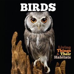 Birds цена и информация | Книги для подростков  | pigu.lt