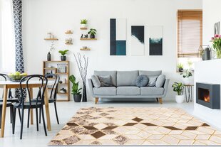 FLHF kilimas Trex Geometric 120x170 cm kaina ir informacija | Kilimai | pigu.lt