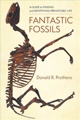 Fantastic Fossils: A Guide to Finding and Identifying Prehistoric Life kaina ir informacija | Knygos apie sveiką gyvenseną ir mitybą | pigu.lt