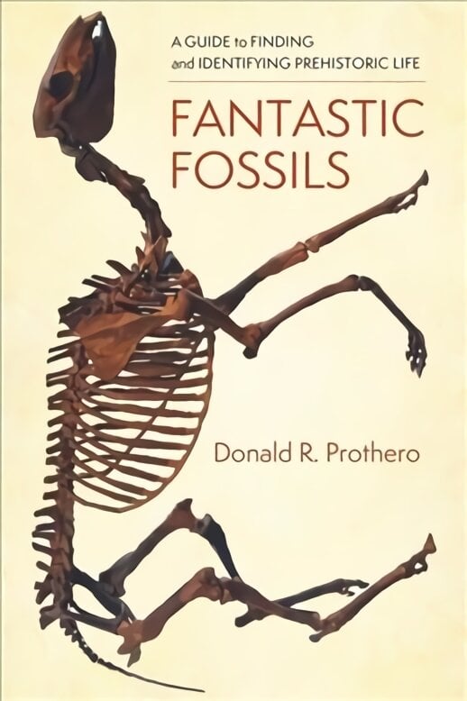 Fantastic Fossils: A Guide to Finding and Identifying Prehistoric Life цена и информация | Knygos apie sveiką gyvenseną ir mitybą | pigu.lt