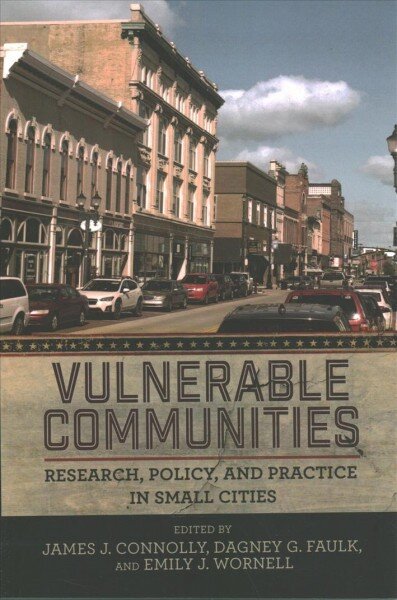 Vulnerable Communities: Research, Policy, and Practice in Small Cities kaina ir informacija | Socialinių mokslų knygos | pigu.lt
