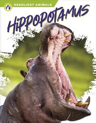 Deadliest Animals: Hippopotamus kaina ir informacija | Knygos paaugliams ir jaunimui | pigu.lt