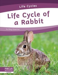 Life Cycles: Life Cycle of a Rabbit цена и информация | Книги для подростков и молодежи | pigu.lt