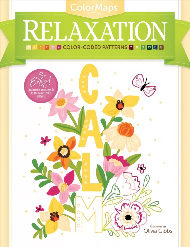 ColorMaps Relaxation: Color-Coded Patterns Adult Coloring Book kaina ir informacija | Knygos apie meną | pigu.lt