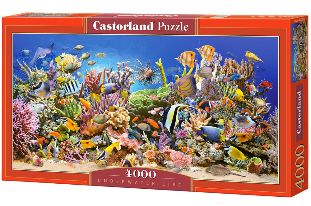 Dėlionė Castorland Puzzle Underwater Life, 4000 d. цена и информация | Dėlionės (puzzle) | pigu.lt