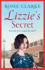 Lizzie's Secret цена и информация | Fantastinės, mistinės knygos | pigu.lt