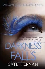 Darkness Falls (Immortal Beloved Book Two) цена и информация | Книги для подростков и молодежи | pigu.lt