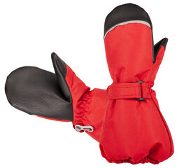 Зимние Hofler рукавички, полностью водонепроницаемые цена и информация | Зимняя одежда для детей | pigu.lt
