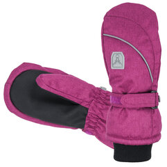 Hofler Primaloft Зимние рукавички полностью водонепроницаемые цена и информация | Зимняя одежда для детей | pigu.lt