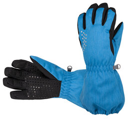 Зимние перчатки (полностью водонепроницаемые) Hofler  цена и информация | Зимняя одежда для детей | pigu.lt