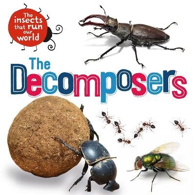 Insects that Run Our World: The Decomposers цена и информация | Knygos paaugliams ir jaunimui | pigu.lt