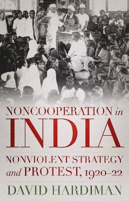 Noncooperation in India: Nonviolent Strategy and Protest, 192022 цена и информация | Istorinės knygos | pigu.lt