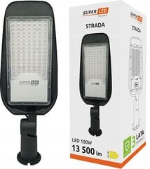 Gatvės LED šviestuvas 100W 13500 LM цена и информация | Уличные светильники | pigu.lt