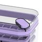 Ledo forma, violetinė kaina ir informacija | Virtuvės įrankiai | pigu.lt