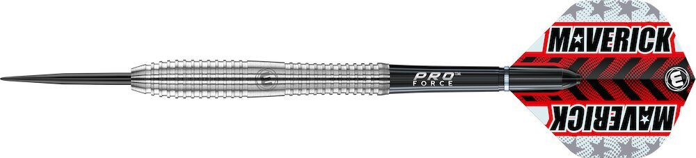 Strėlytės Winmau Maverick, 24g, sidabrinės цена и информация | Smiginis | pigu.lt