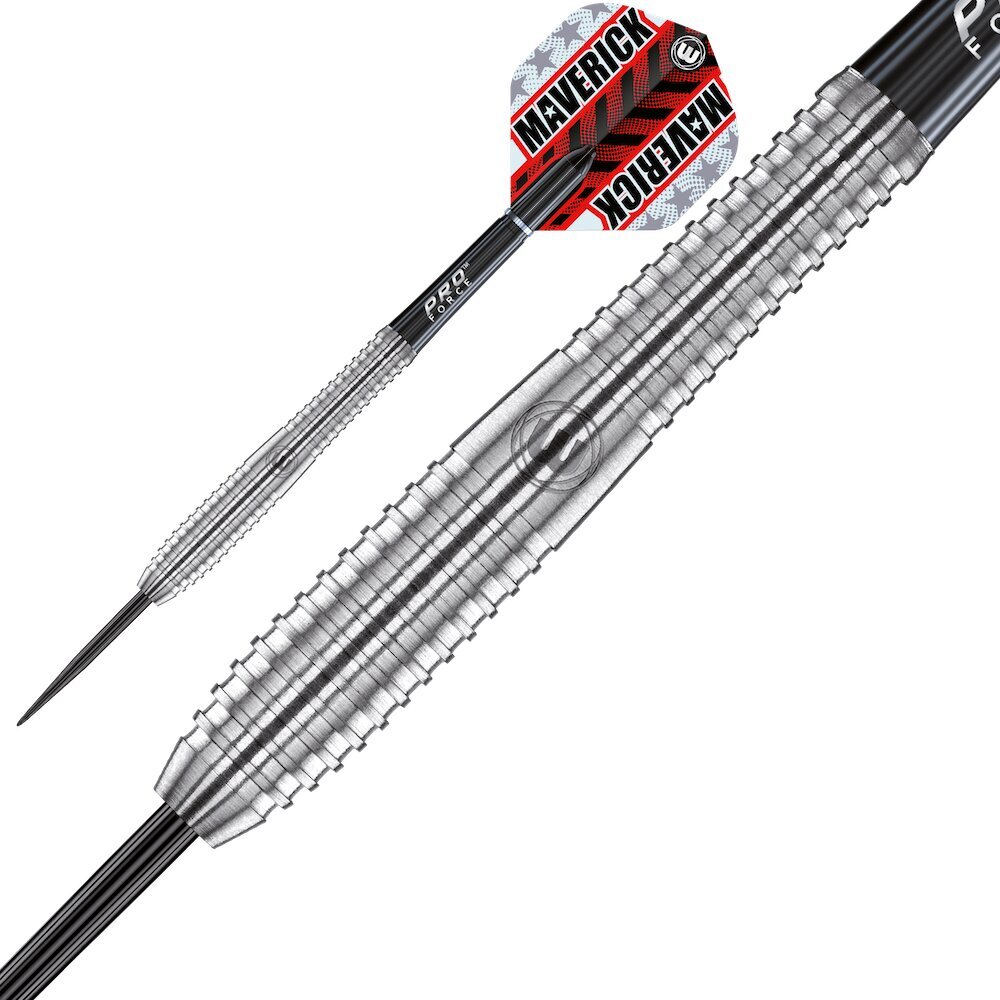 Strėlytės Winmau Maverick, 24g, sidabrinės kaina ir informacija | Smiginis | pigu.lt