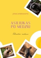 Asiliukas po medžiu цена и информация | Книги для детей | pigu.lt