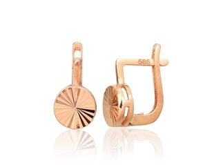 Auksiniai auskarai ant cilindrinės spynos kaina ir informacija | Auskarai | pigu.lt