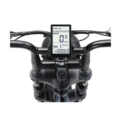 Электрический велосипед APE RYDER 20 A10 черный цена и информация | Электровелосипеды | pigu.lt