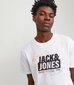 Marškinėliai vyrams Jack & Jones, balti kaina ir informacija | Vyriški marškinėliai | pigu.lt