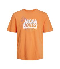Футболка для мальчиков Jack & Jones JJRNEW MIKKI TEE цена и информация | Рубашка для мальчиков | pigu.lt