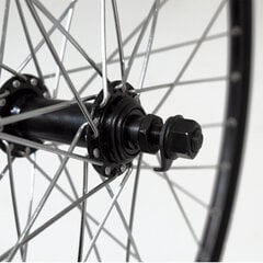 Priekinis ratas 26 36H, juodas цена и информация | Покрышки, шины для велосипеда | pigu.lt