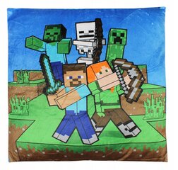 Minecraft dekoratyvinė pagalvėlė su nuimamu užvalkalu, 35x35 cm kaina ir informacija | Dekoratyvinės pagalvėlės ir užvalkalai | pigu.lt