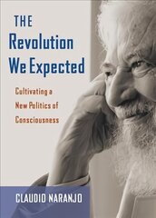 Revolution We Expected: Cultivating a New Politics of Consciousness kaina ir informacija | Socialinių mokslų knygos | pigu.lt