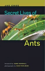 Secret Lives of Ants цена и информация | Книги о питании и здоровом образе жизни | pigu.lt