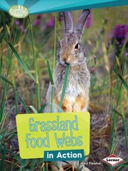 Grassland Food Webs in Action kaina ir informacija | Knygos paaugliams ir jaunimui | pigu.lt