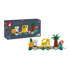 Поезд на веревочке, с кубиками Tropik Janod цена и информация | Игрушки для малышей | pigu.lt