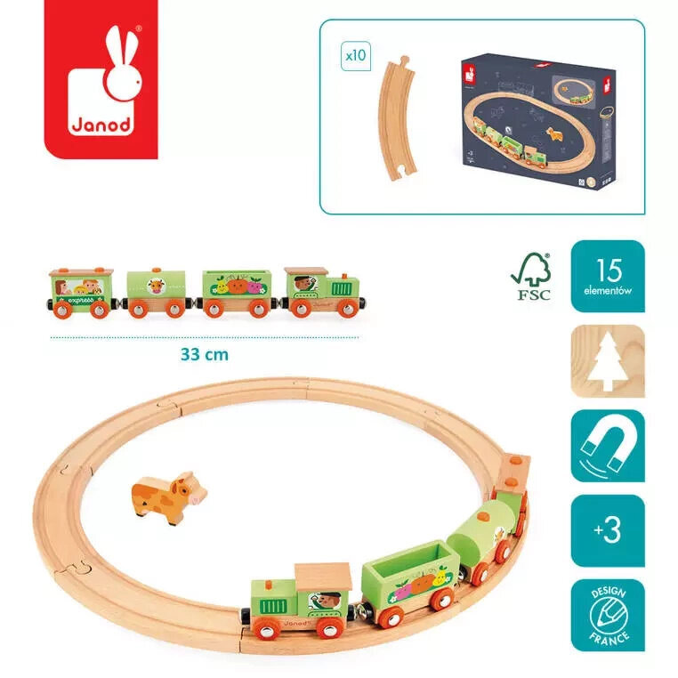 Medinis traukinys su bėgiais Janod, 15d цена и информация | Žaislai berniukams | pigu.lt