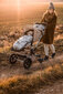 Miegmaišis vežimėliui ir automobilio kėdutei Dream Garden Makaszka, 0-18mėn цена и информация | Vokeliai, miegmaišiai, pagalvės | pigu.lt