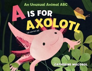 Is for Axolotl: An Unusual Animal ABC kaina ir informacija | Knygos mažiesiems | pigu.lt