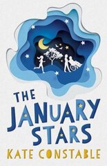 January Stars цена и информация | Книги для подростков и молодежи | pigu.lt