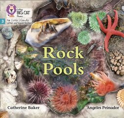 Rock Pools: Phase 3 Set 1 цена и информация | Книги для подростков и молодежи | pigu.lt