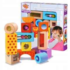 Medinės kaladėlės Montessori Eichhorn Color цена и информация | Игрушки для малышей | pigu.lt