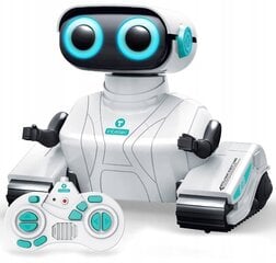 Interaktyvus radijo bangomis valdomas Robotas kaina ir informacija | Žaislai berniukams | pigu.lt