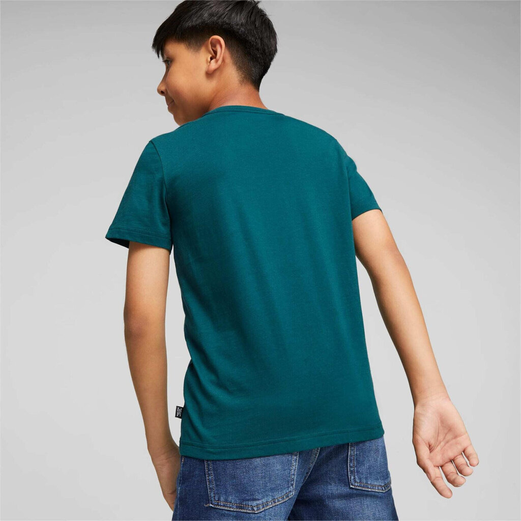 Marškinėliai berniukams Puma, žali kaina ir informacija | Marškinėliai berniukams | pigu.lt