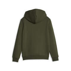 Puma Джемпер Ess + 2 Col Big Logo Green 586987 31 586987 31/128 цена и информация | Свитеры, жилетки, пиджаки для мальчиков | pigu.lt