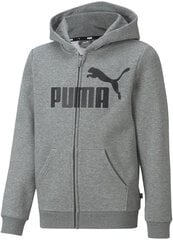 Puma Джемпер Ess + 2 Col Big Logo Grey 586987 03 586987 03/164 цена и информация | Свитеры, жилетки, пиджаки для мальчиков | pigu.lt