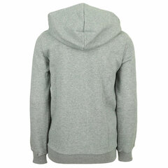 Puma Джемпер Ess + 2 Col Big Logo Grey 586987 03 586987 03/164 цена и информация | Свитеры, жилетки, пиджаки для мальчиков | pigu.lt