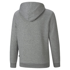 Džemperis berniukams Puma, pilkas kaina ir informacija | Megztiniai, bluzonai, švarkai berniukams | pigu.lt