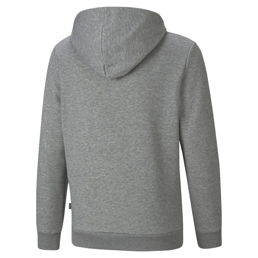 Džemperis berniukams Puma, pilkas цена и информация | Megztiniai, bluzonai, švarkai berniukams | pigu.lt